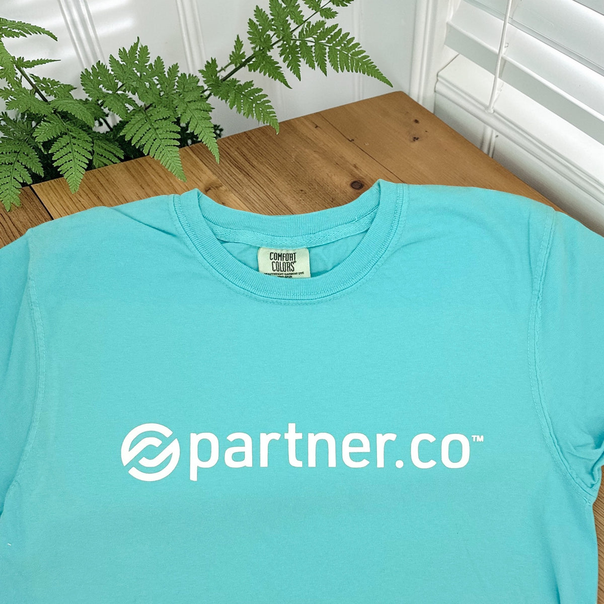 Youth Comfort Colors t-shirt for Brand Partner Kids featuring a colorful Partner.Co-inspired design.